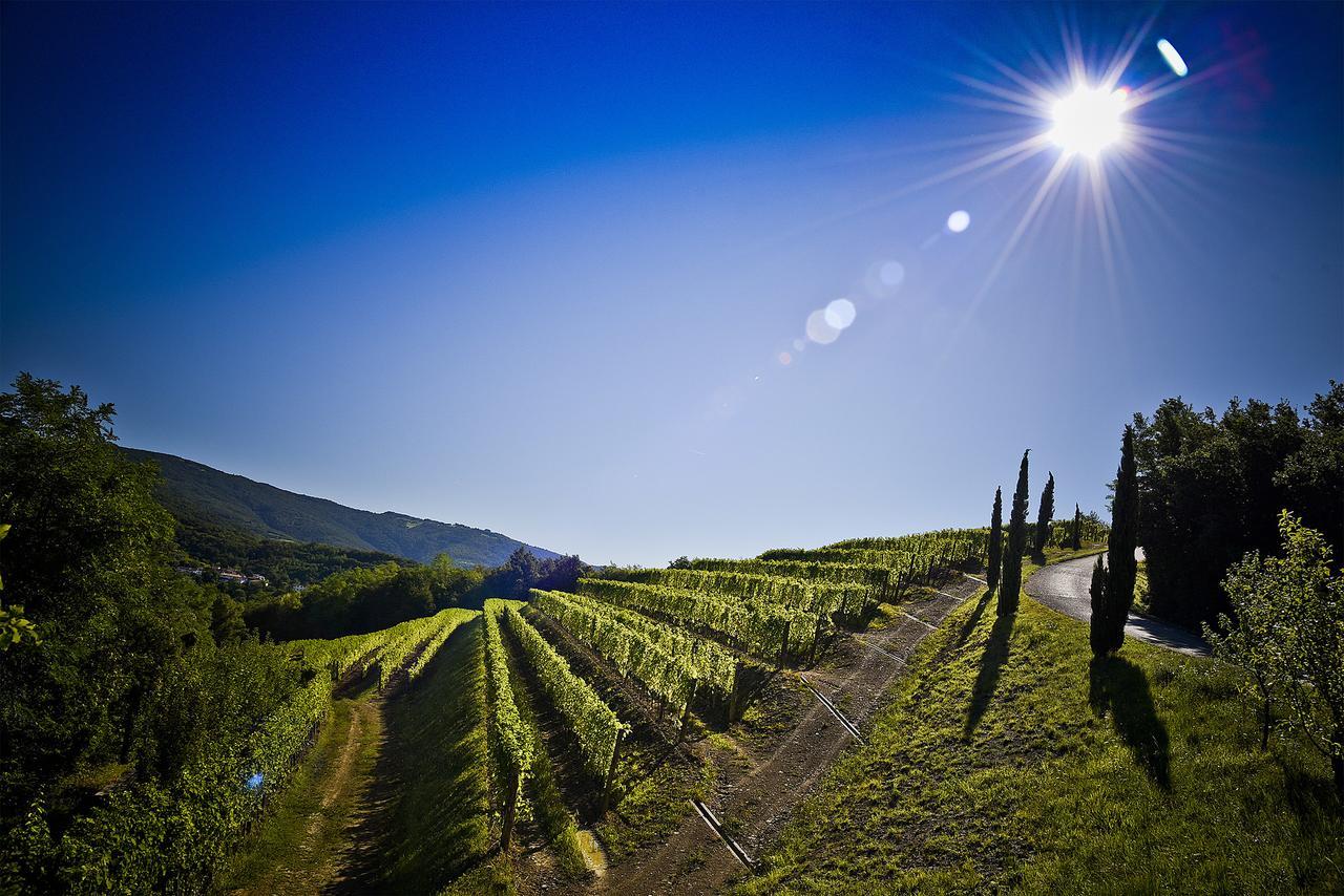 Venica & Venica Wine Resort Dolegna del Collio Exterior foto